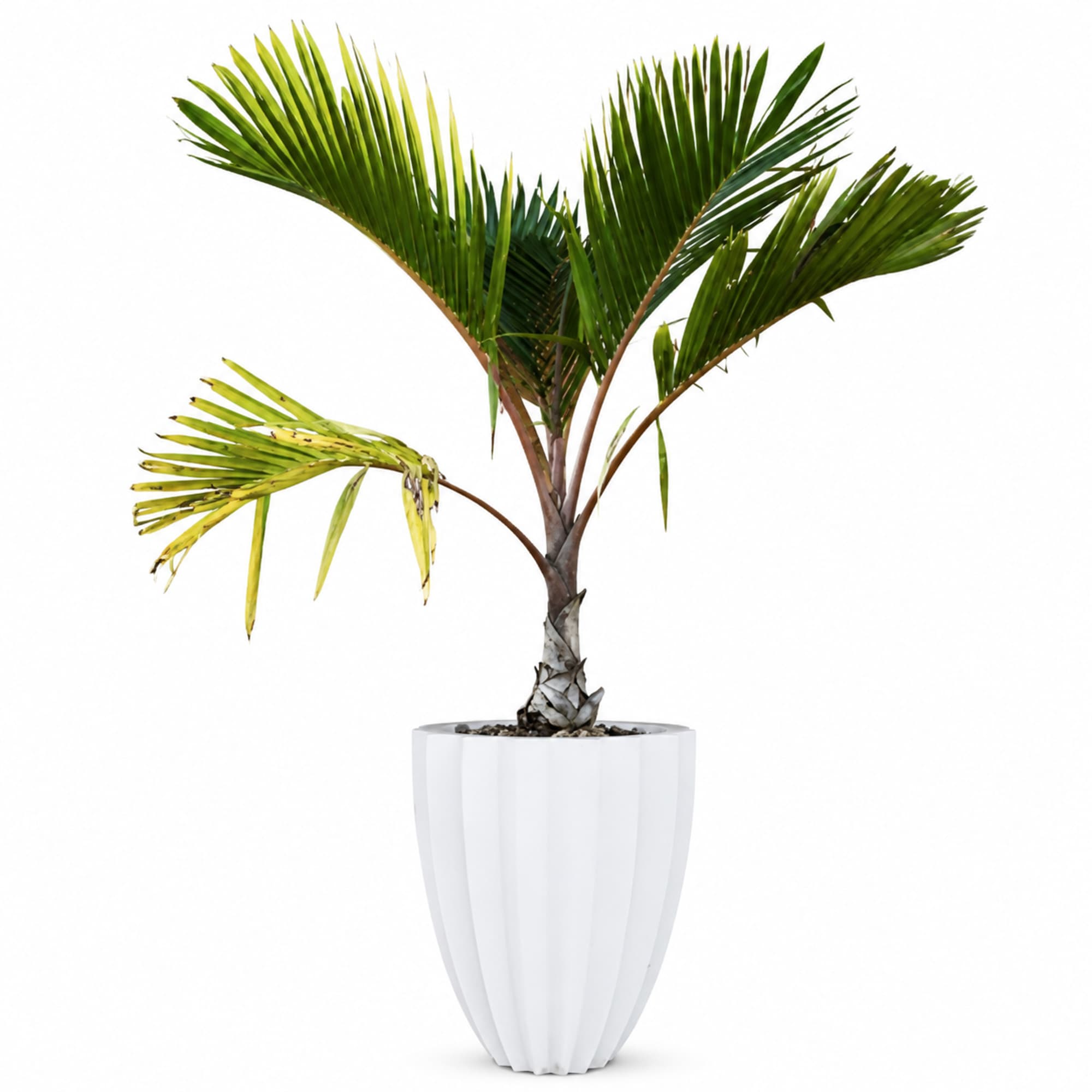 Tall Fluted Planter